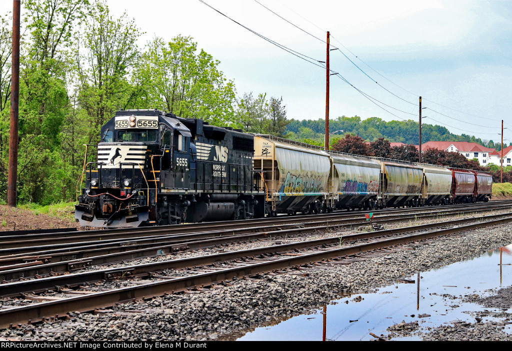 NS 5655 on H24